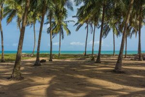 Beaches in Lagos mainland